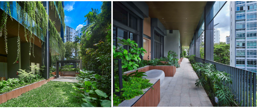 Image shows that Walkway between planters not only enables visitors to experience nature upclose, it a functions as an effective maintenance walkway. Plant palette for sheltered sky terraces was specially curated to enhance long-term sustainability